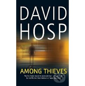Among Thieves - David Hosp