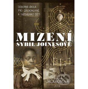 E-kniha Mizení Sybil Joinesové - Shelley Jackson