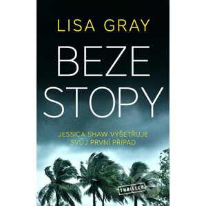 E-kniha Beze stopy - Lisa Gray