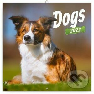 Poznámkový kalendář Dogs 2022 - Presco Group