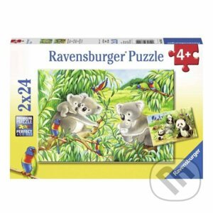 Roztomilé koaly a pandy - Ravensburger
