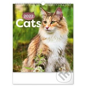 Nástěnný kalendář Cats 2022 - Presco Group