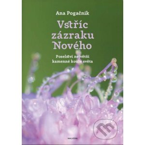 Vstříc zázraku Nového - Ana Pogačnik