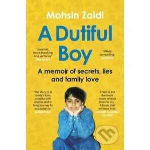 A Dutiful Boy - Mohsin Zaidi