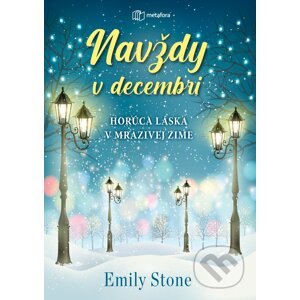 Navždy v decembri - Emily Stone
