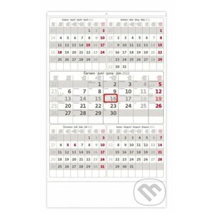 Kalendář nástěnný 2022 - Pětiměsíční šedý - Helma365